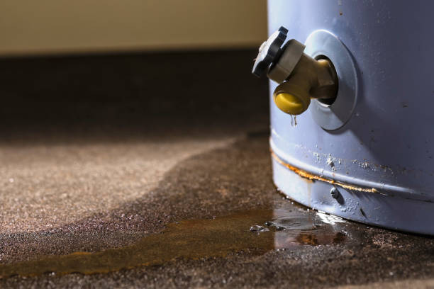 Best Flood restoration services  in Howe, TX