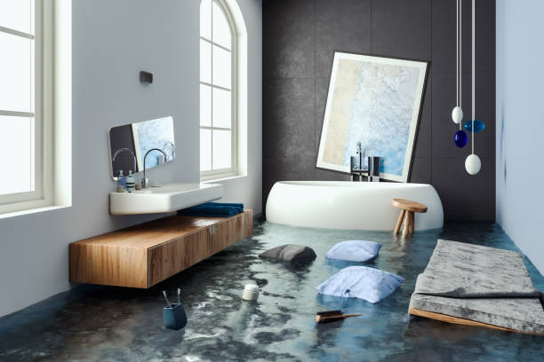 Best Carpet water damage restoration  in Howe, TX