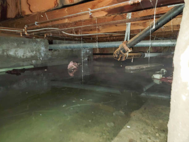 Best Water damage restoration near me  in Howe, TX