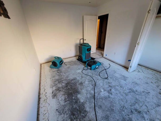 Best Water damage restoration experts  in Howe, TX