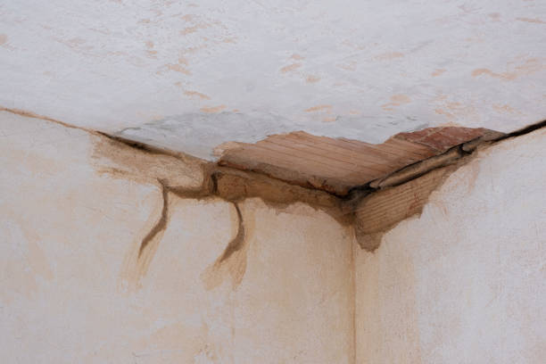 Best Basement water damage restoration  in Howe, TX