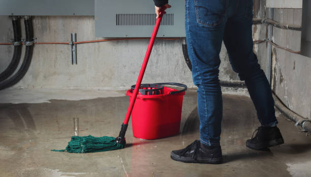 Best Fire Damage Restoration  in Howe, TX