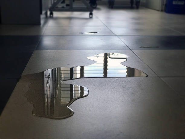 Best Water damage contractors near me  in Howe, TX