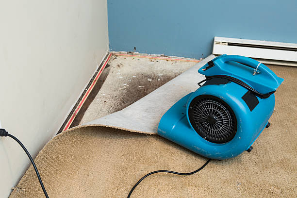 Best Emergency water damage restoration  in Howe, TX